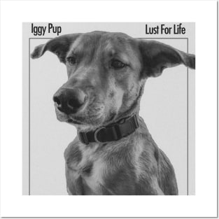 Iggy Pup: Lust for Life Posters and Art